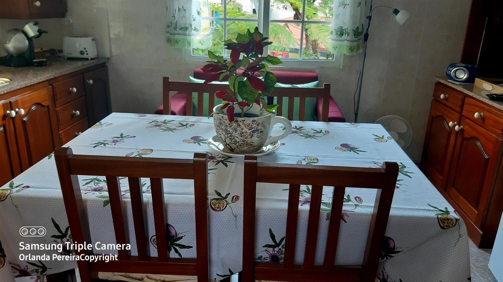 Terra Cha Cottage,Feel Home, São Vicente Exterior foto
